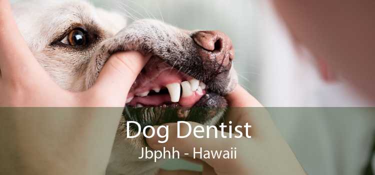 Dog Dentist Jbphh - Hawaii