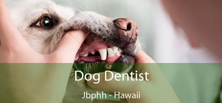 Dog Dentist Jbphh - Hawaii