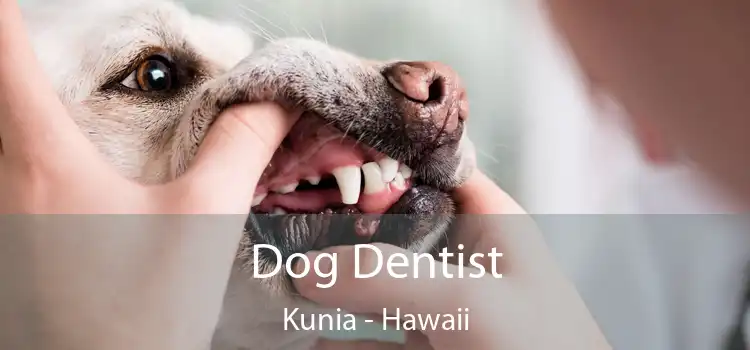 Dog Dentist Kunia - Hawaii