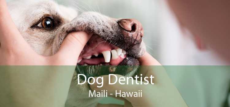 Dog Dentist Maili - Hawaii