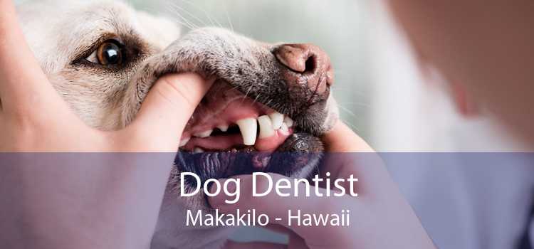 Dog Dentist Makakilo - Hawaii