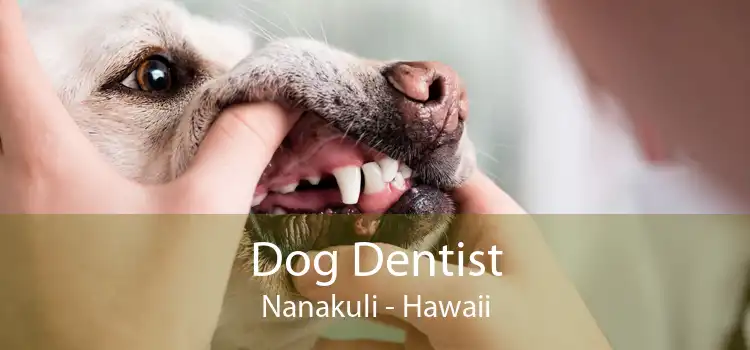 Dog Dentist Nanakuli - Hawaii