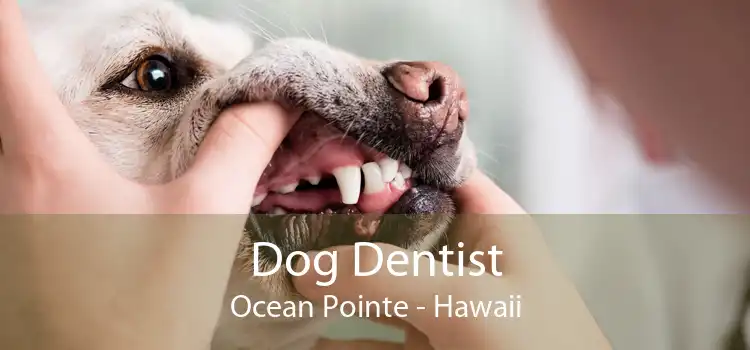 Dog Dentist Ocean Pointe - Hawaii