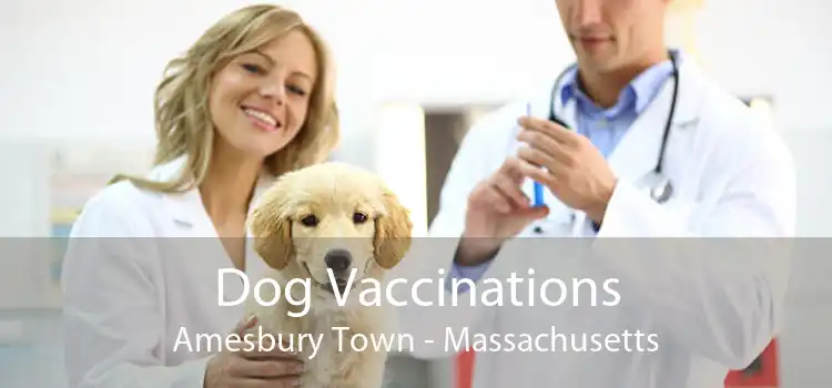 Dog Vaccinations Amesbury Town - Massachusetts