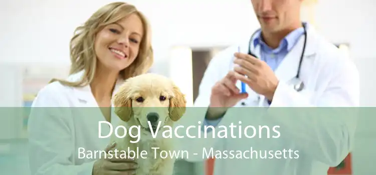 Dog Vaccinations Barnstable Town - Massachusetts