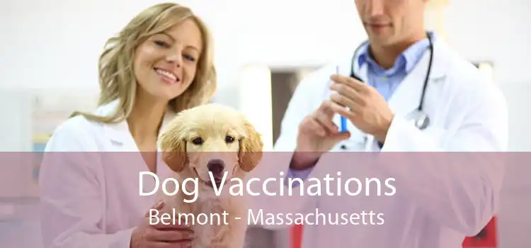Dog Vaccinations Belmont - Massachusetts