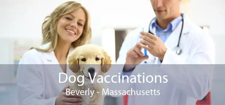 Dog Vaccinations Beverly - Massachusetts