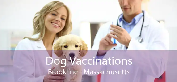 Dog Vaccinations Brookline - Massachusetts