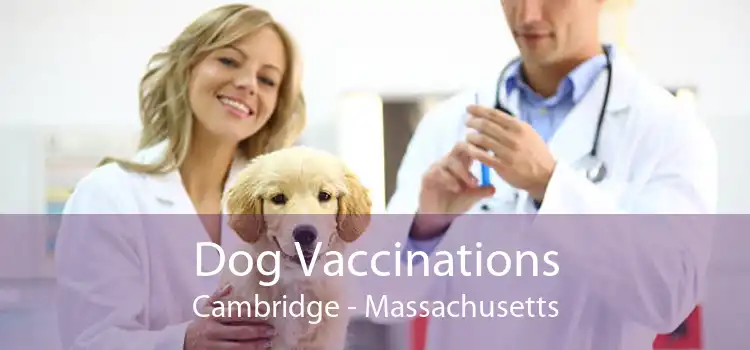 Dog Vaccinations Cambridge - Massachusetts