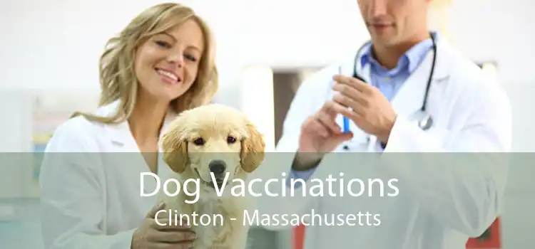 Dog Vaccinations Clinton - Massachusetts