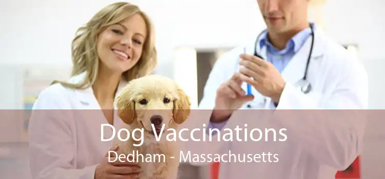 Dog Vaccinations Dedham - Massachusetts