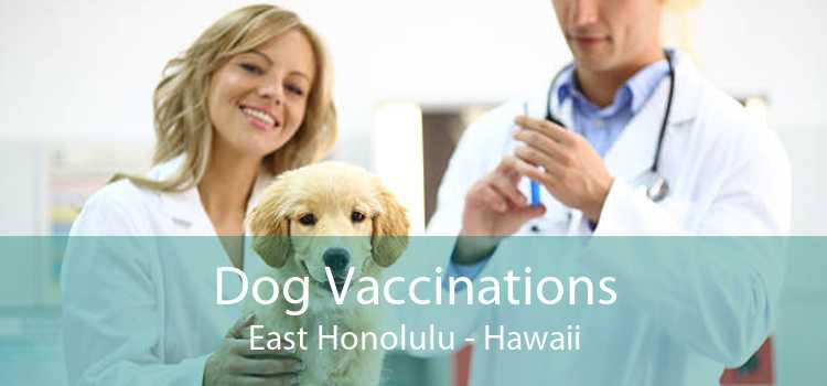 Dog Vaccinations East Honolulu - Hawaii