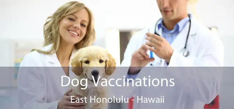 Dog Vaccinations East Honolulu - Hawaii