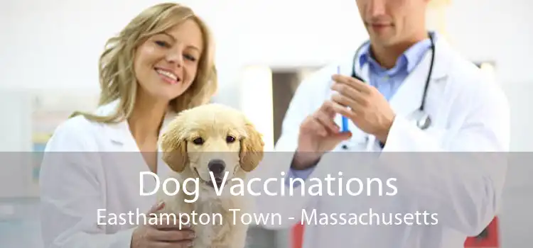 Dog Vaccinations Easthampton Town - Massachusetts