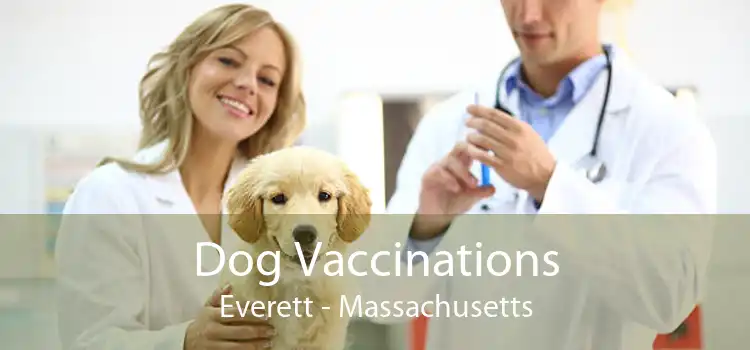 Dog Vaccinations Everett - Massachusetts