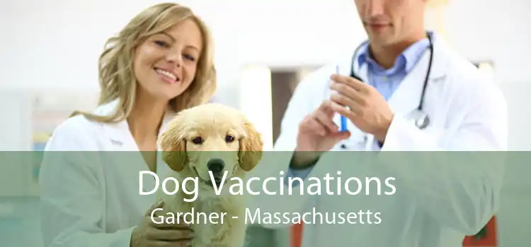 Dog Vaccinations Gardner - Massachusetts