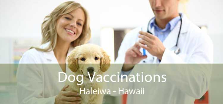 Dog Vaccinations Haleiwa - Hawaii