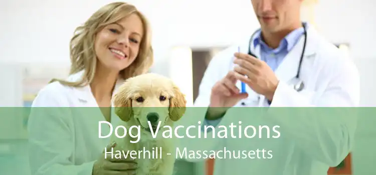 Dog Vaccinations Haverhill - Massachusetts