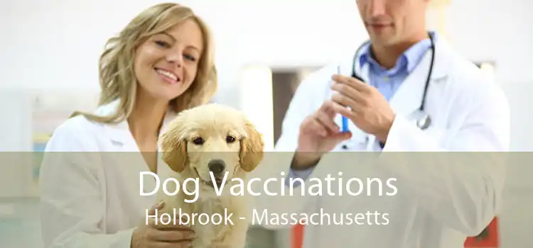 Dog Vaccinations Holbrook - Massachusetts