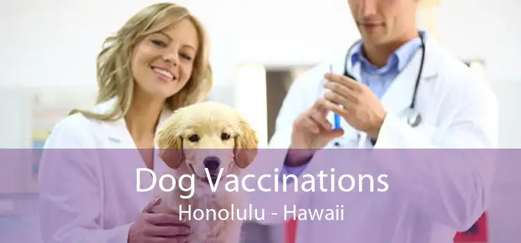 Dog Vaccinations Honolulu - Hawaii
