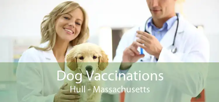 Dog Vaccinations Hull - Massachusetts