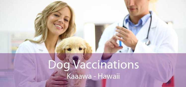 Dog Vaccinations Kaaawa - Hawaii