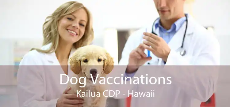 Dog Vaccinations Kailua CDP - Hawaii