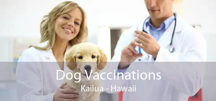 Dog Vaccinations Kailua - Hawaii