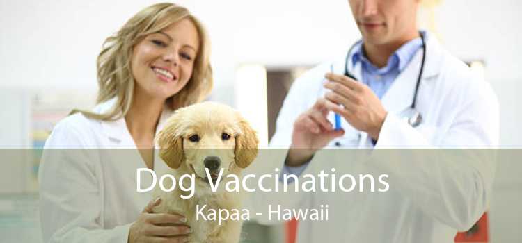 Dog Vaccinations Kapaa - Hawaii
