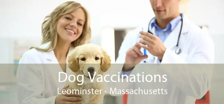 Dog Vaccinations Leominster - Massachusetts
