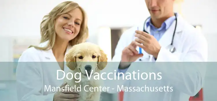 Dog Vaccinations Mansfield Center - Massachusetts
