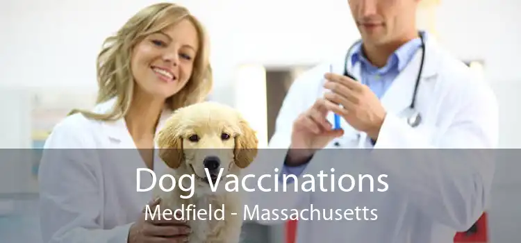 Dog Vaccinations Medfield - Massachusetts