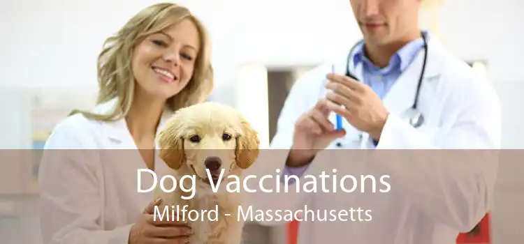 Dog Vaccinations Milford - Massachusetts
