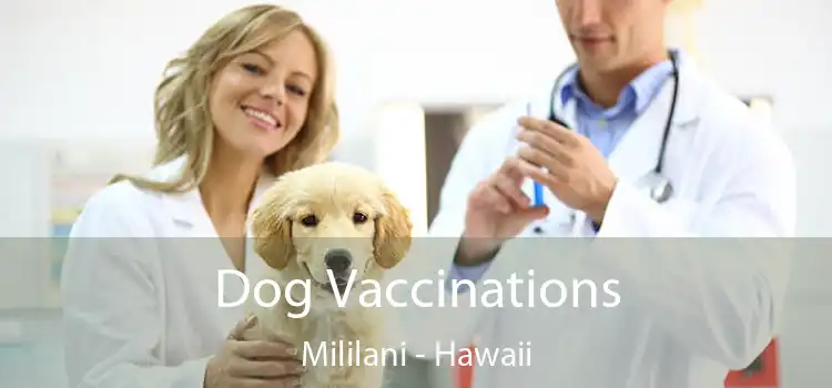 Dog Vaccinations Mililani - Hawaii
