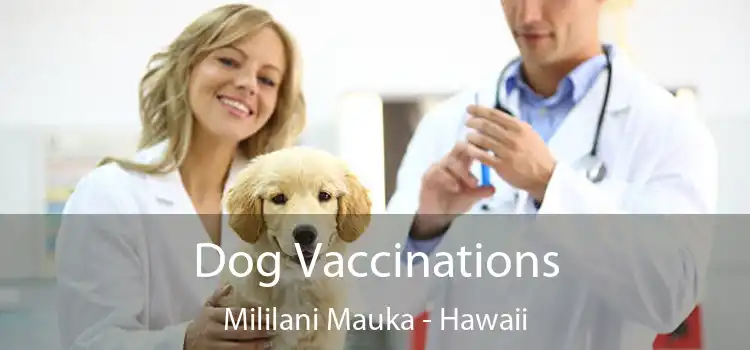 Dog Vaccinations Mililani Mauka - Hawaii