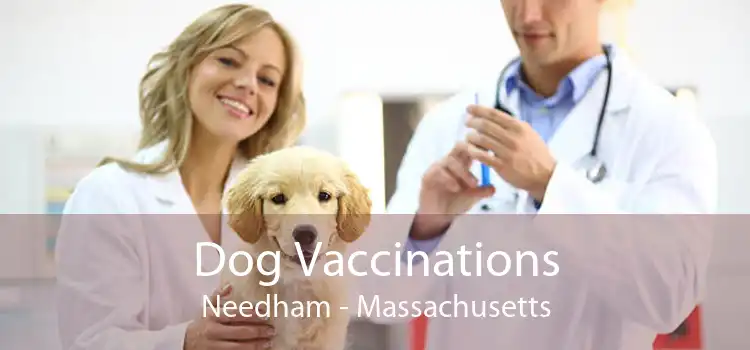 Dog Vaccinations Needham - Massachusetts