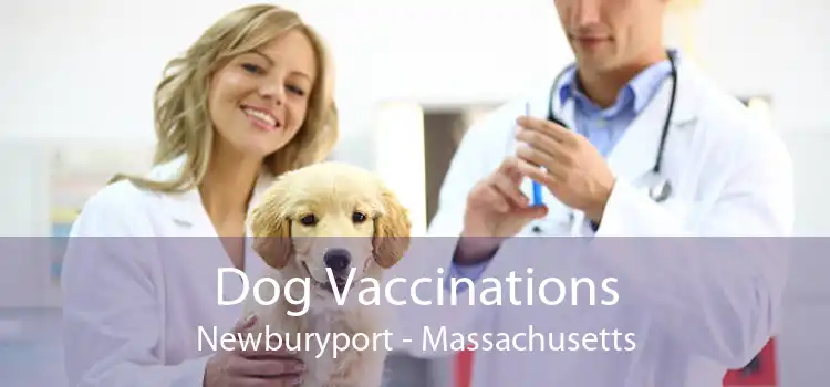 Dog Vaccinations Newburyport - Massachusetts