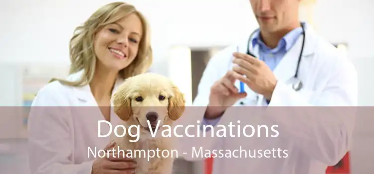 Dog Vaccinations Northampton - Massachusetts