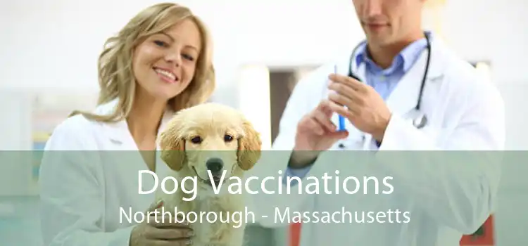 Dog Vaccinations Northborough - Massachusetts
