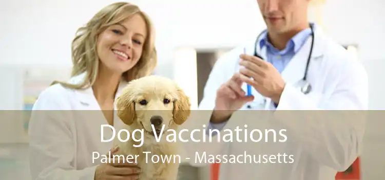 Dog Vaccinations Palmer Town - Massachusetts