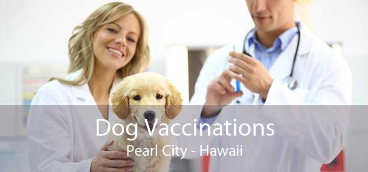 Dog Vaccinations Pearl City - Hawaii