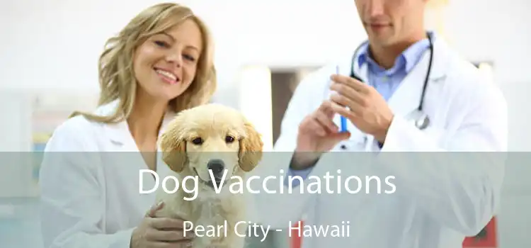 Dog Vaccinations Pearl City - Hawaii