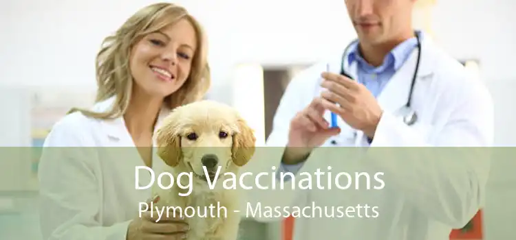 Dog Vaccinations Plymouth - Massachusetts