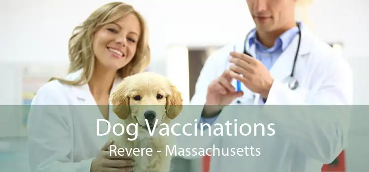 Dog Vaccinations Revere - Massachusetts
