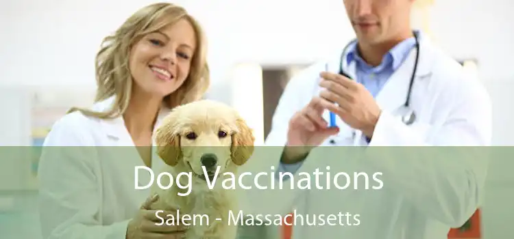 Dog Vaccinations Salem - Massachusetts
