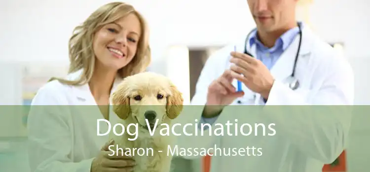 Dog Vaccinations Sharon - Massachusetts