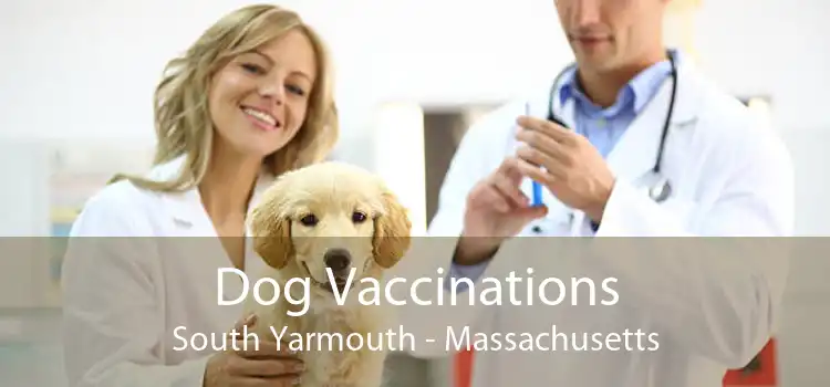 Dog Vaccinations South Yarmouth - Massachusetts