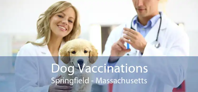 Dog Vaccinations Springfield - Massachusetts
