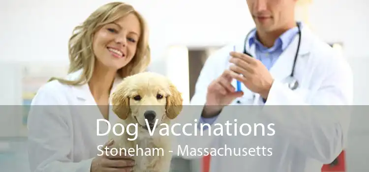 Dog Vaccinations Stoneham - Massachusetts