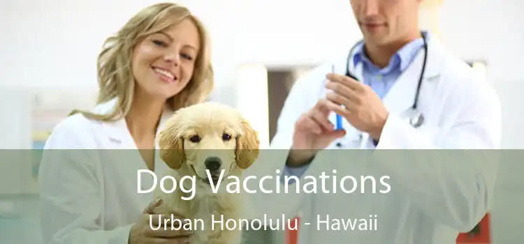 Dog Vaccinations Urban Honolulu - Hawaii